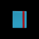 DEX PROTECTION: THE DEX BINDER 4