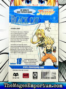 Black Cat Vol 18