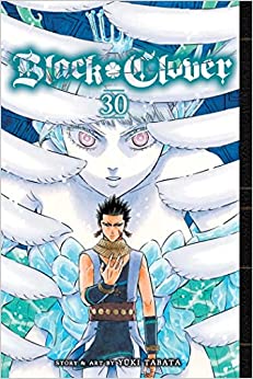 Black Clover Vol 30