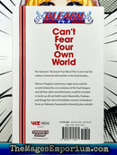 Bleach Can't Fear Your Own World Vol 2