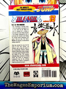 Bleach Vol 13