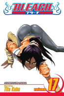 Bleach Vol 17