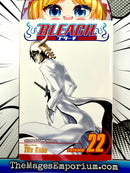 Bleach Vol 22