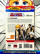 Bleach Vol 22