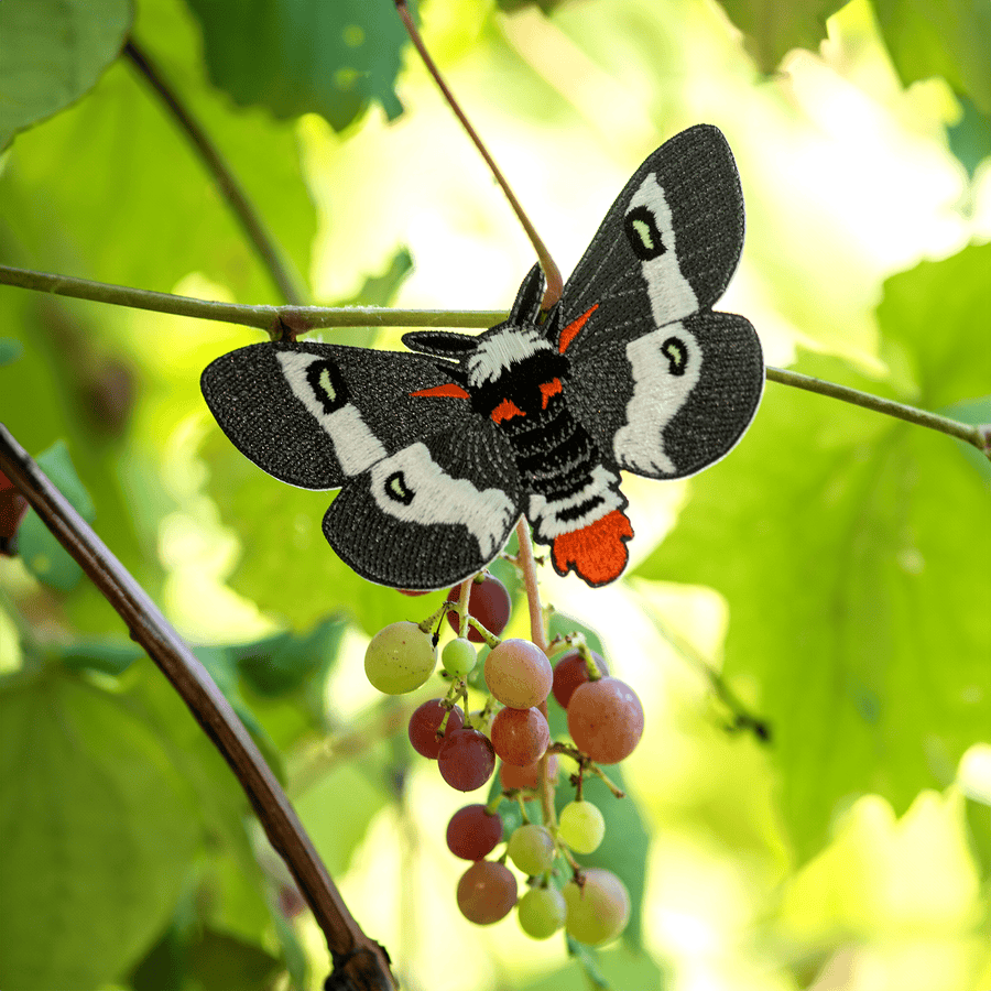 Barrens Buckmoth Iron-on Patch