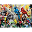 Audubon - Backyard Birds 1000 Piece Jigsaw Puzzle