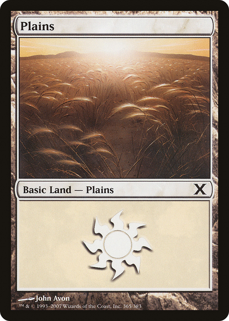 Plains (10E-365) - Tenth Edition Foil