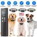 Dog Training Collar with Remote and Bark Control for Small Dogs