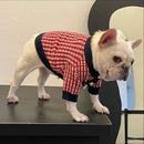 Fashion Cute Print Winter Pet Clothes Winter Sweater