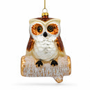 Wise Owl Sitting on a Branch Glass Christmas Ornament