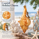 Glittered Seashell Glass Christmas Ornament