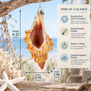 Glittered Seashell Glass Christmas Ornament