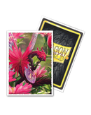 Dragon Shield: Standard 100ct Art Sleeves - Sahar