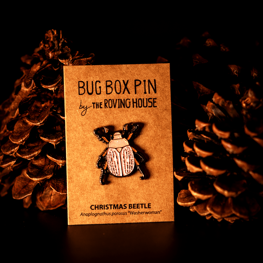 Washerwoman Christmas Beetle Enamel Pin