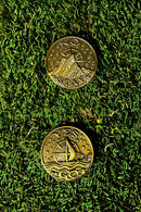 Coin of Decisions