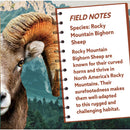 Rocky Mountain Bighorn Sheep 100 Piece Shaped Jigsaw Puzzle