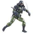 G.I. Joe Classified Series 6-Inch Action Figure - Select Figure(s)