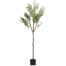5.9FT Artificial Olive Tree Tall Fake Olive Plant Faux Potted Olive Tree with Lush Olive Branches and FruitsÊwith Black Planter Pot for Modern Home Of