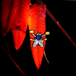 Cordyceps Zombie Fly Enamel Pin