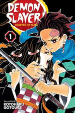 Demon Slayer Vol 1 Ex Library