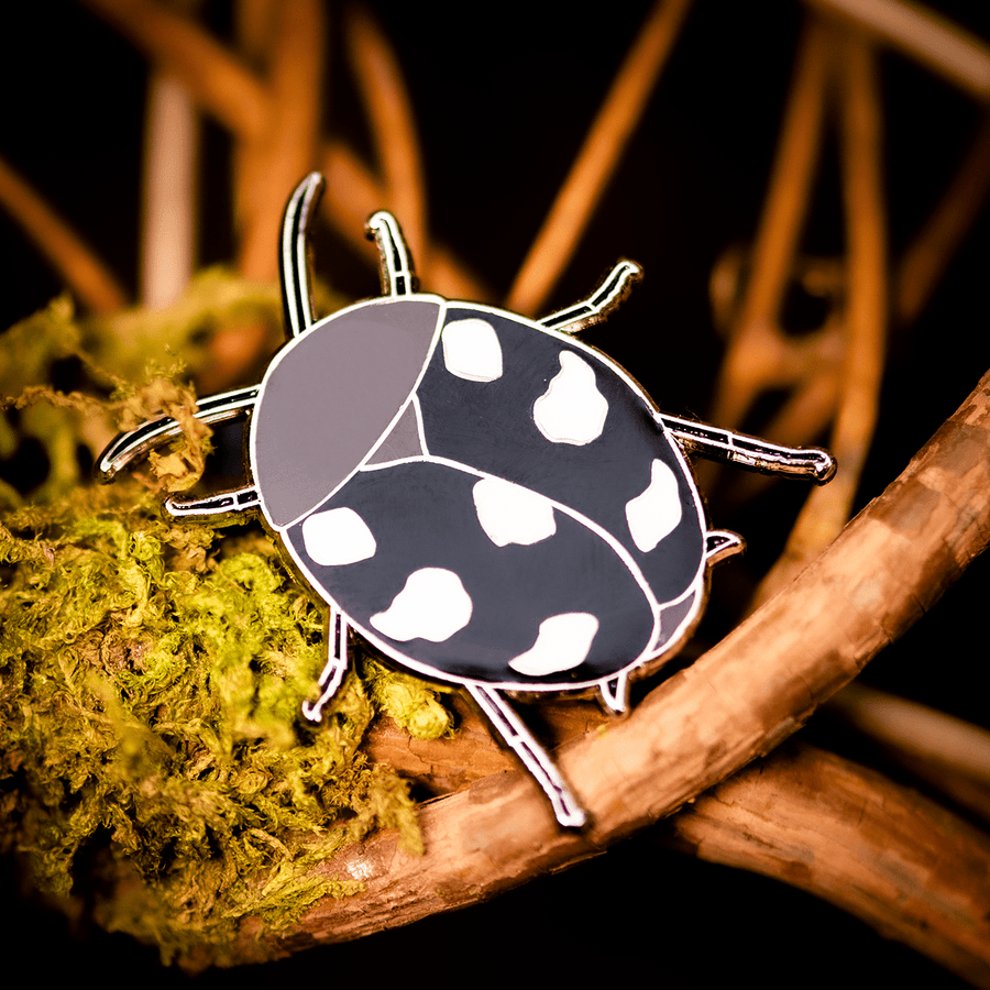 Indian Domino Cockroach Enamel Pin