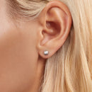 925 Sterling Silver 0.1 Carat Genuine Moissanite Earrings for Women