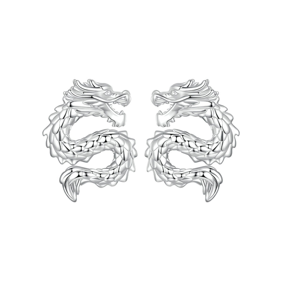 925 Sterling Silver Plated White Gold Earrings