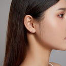 925 Sterling Silver & Plated Gold CZ Earrings for Women