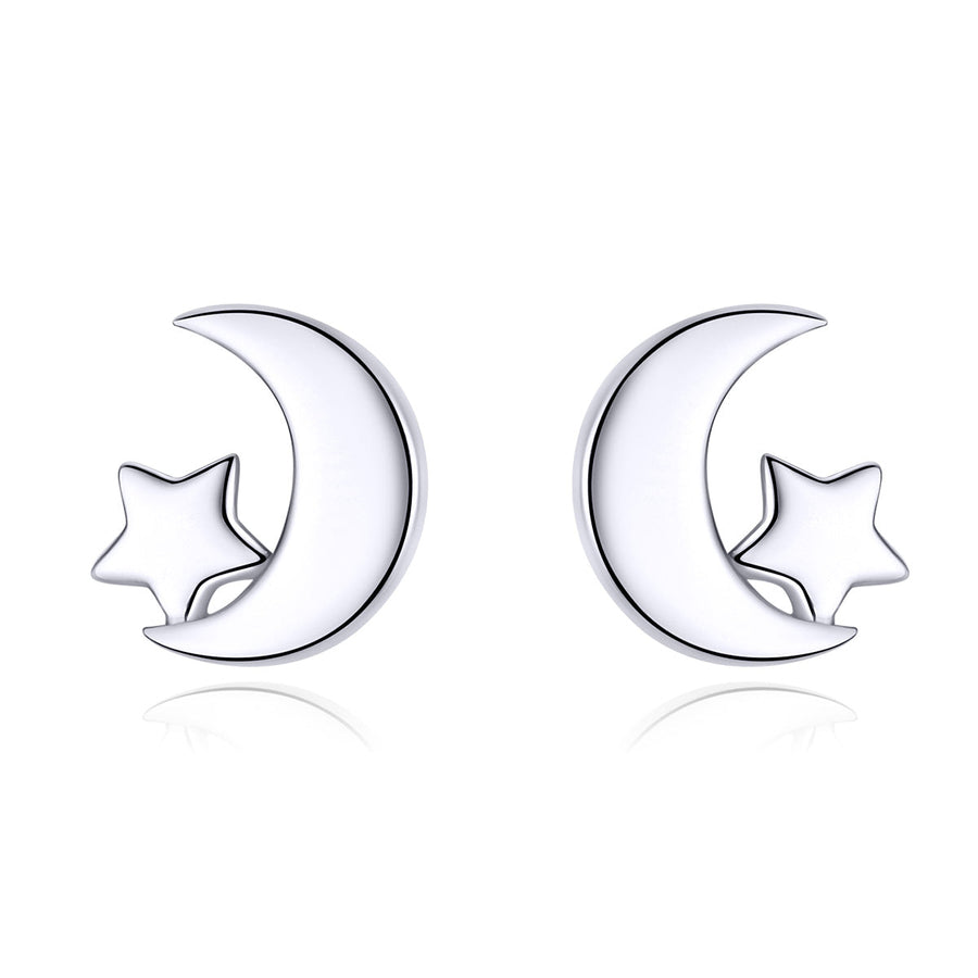 S925 Sterling Silver Earrings for Women