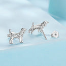 925 Sterling Silver Pavé Set CZ White Gold Plated Earrings for Women