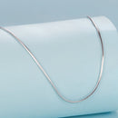 925 Sterling Silver + Plated White Gold 40cm Necklace