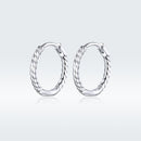 925 Sterling Silver Earrings for Women