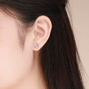 925 Sterling Silver Platinum Plated Pavé Setting CZ Earrings