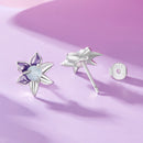 925 Sterling Silver Earrings with Enamel and Transparent Glass for Women
