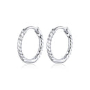 925 Sterling Silver Earrings for Women