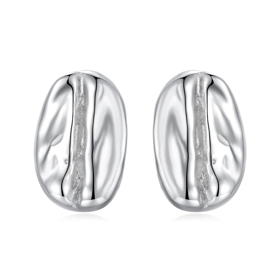 925 Sterling Silver Earrings for Women