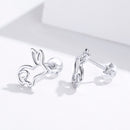 S925 Sterling Silver Plated Platinum Earrings