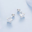 925 Sterling Silver Earrings with Pavé Setting CZ in White Gold