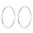S925 Sterling Silver Earrings for Women