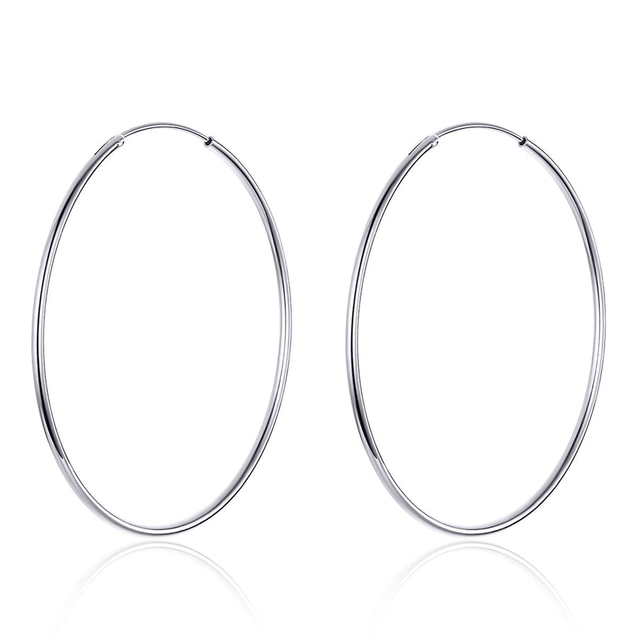 S925 Sterling Silver Earrings for Women