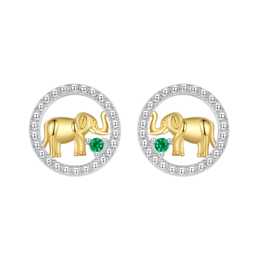 925 Sterling Silver Earrings with CZ in White Gold Plated for Women