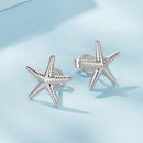 925 Sterling Silver Earrings for Women