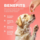 Dog Flea and Tick Treatment Chews FleaTick Prevention for Dogs Chewables Natural Dog Flea & Tick Control Soft Treats Immune Support Supplement