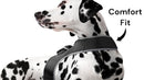 Waterproof Collar Mount Tracker Realtime GPS GSM Puppy Tracking Device Size:L