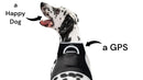 Keep Pet Safe with Pet Tracker GPS Dog Collar Tracking Device + Phone App Size:M