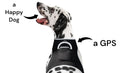 GPS Rechargeable Tracking Device for Pets Realtime Surveillance System Size:XXL