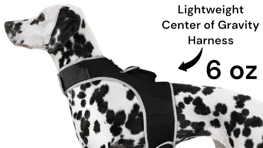 GPS Rechargeable Tracking Device for Pets Realtime Surveillance System Size:XXL