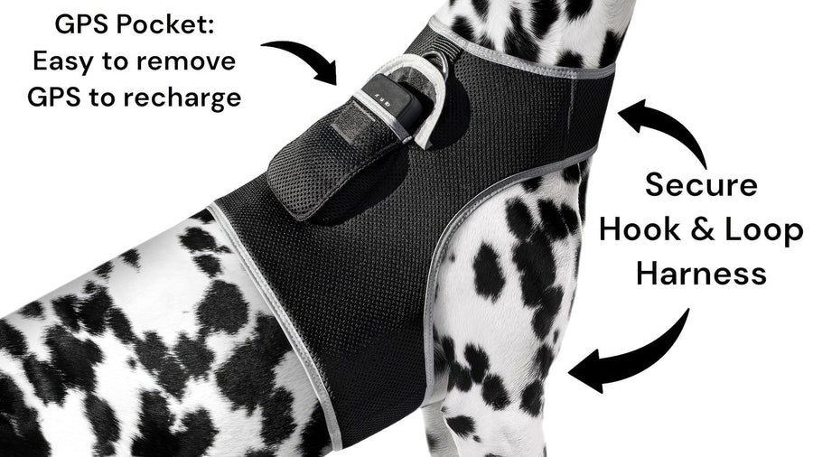 Waterproof GPS Tracker Dog Cat Rechargeable Locator with Battery Alert Size:L