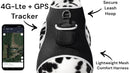 Waterproof Collar Mount Tracker Realtime GPS GSM Puppy Tracking Device Size:L