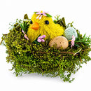 Nestled Chick Amidst Colorful Treasures Tabletop Figurine 3.3 Inches Tall